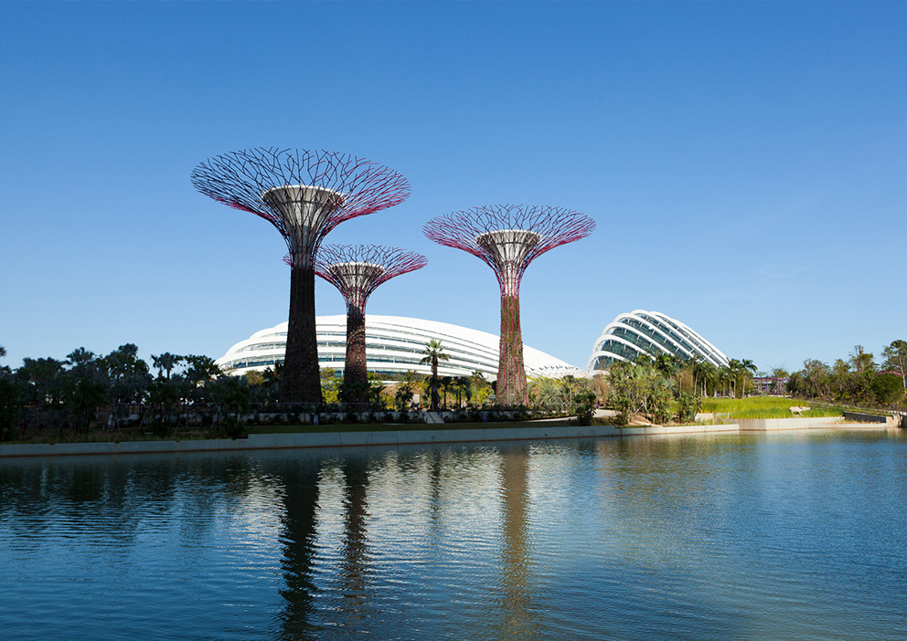 新加坡Cooled Conservatories at Gardens by the Bay