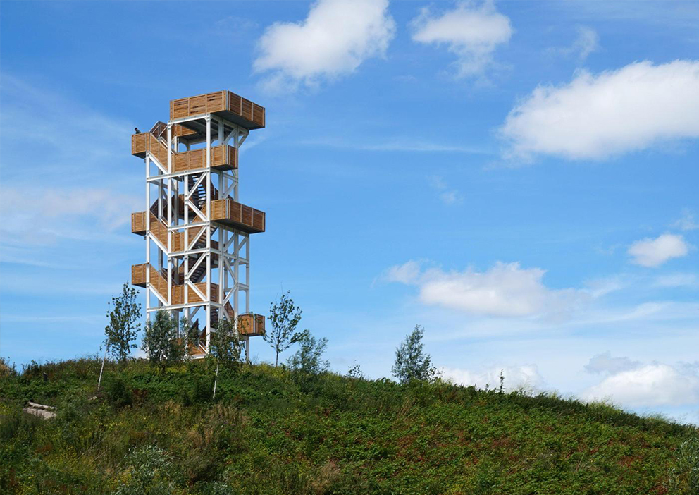 荷兰Viewing Tower Hoge Bergse Bos
