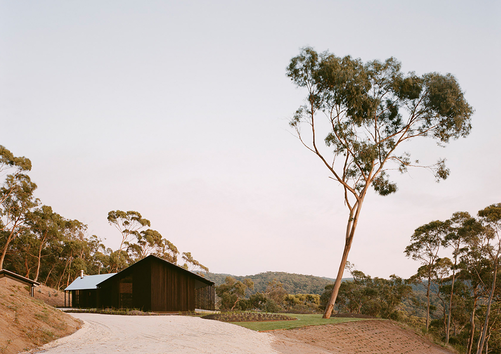 澳大利亚灌木丛中的度假棚屋