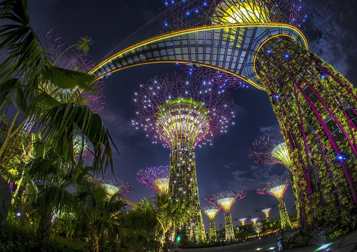新加坡海湾公园 “超级树”