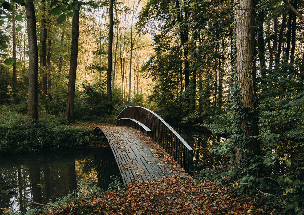 荷兰温德斯海姆庄园的步行桥