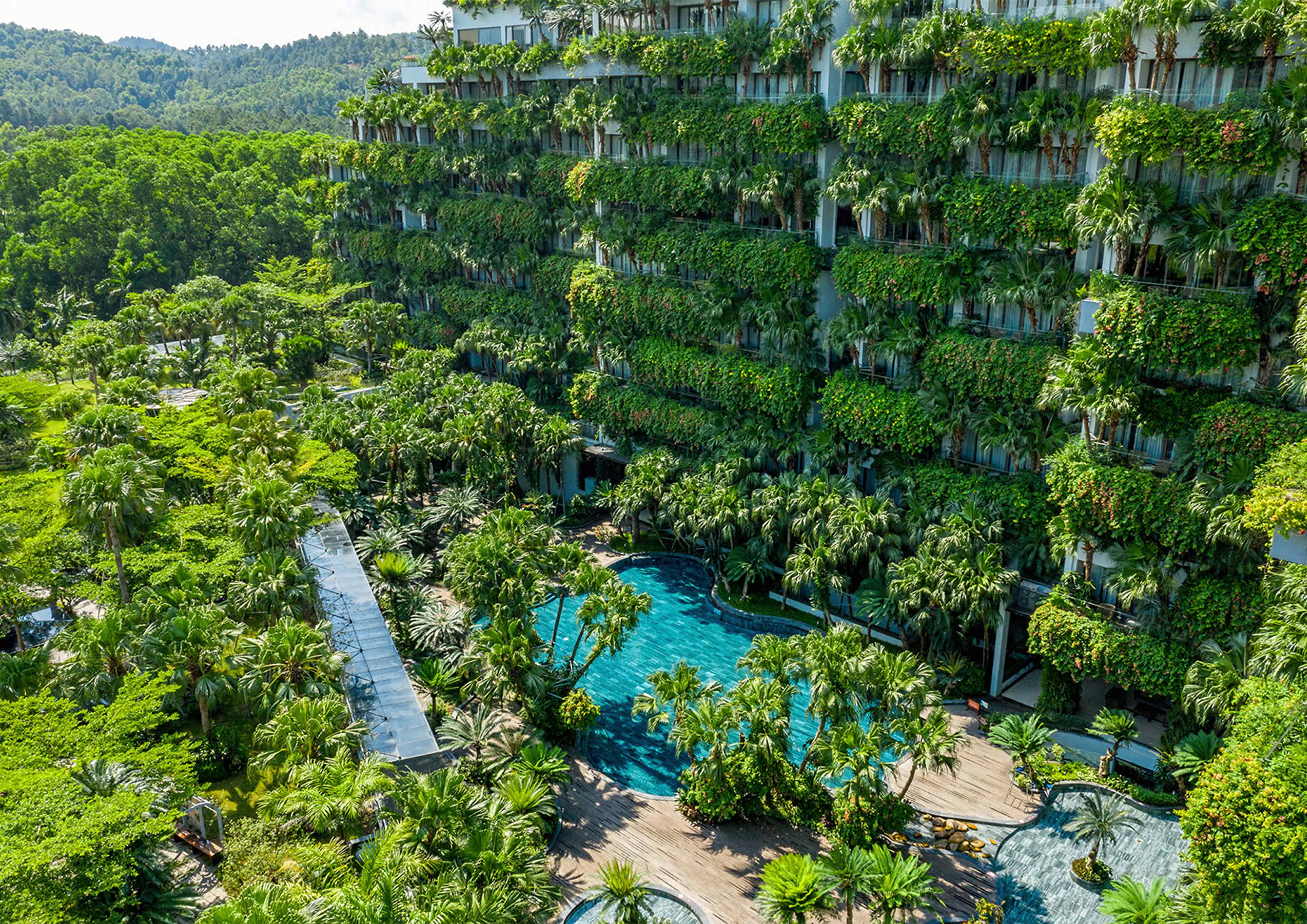 越南空中森林酒店